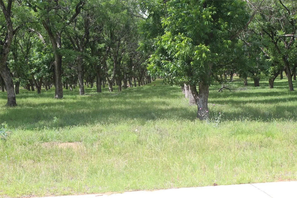 200 Poco Bueno Court, Granbury, TX 76049 - #1
