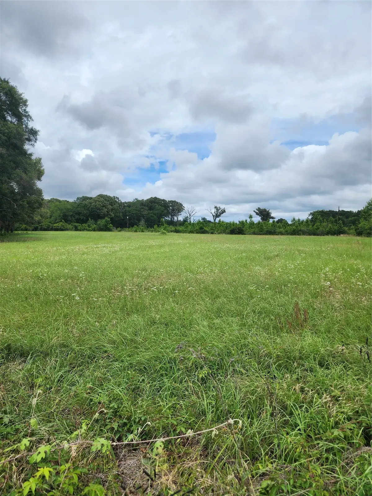 951 County Road 3800, Athens, TX 75752 - #1