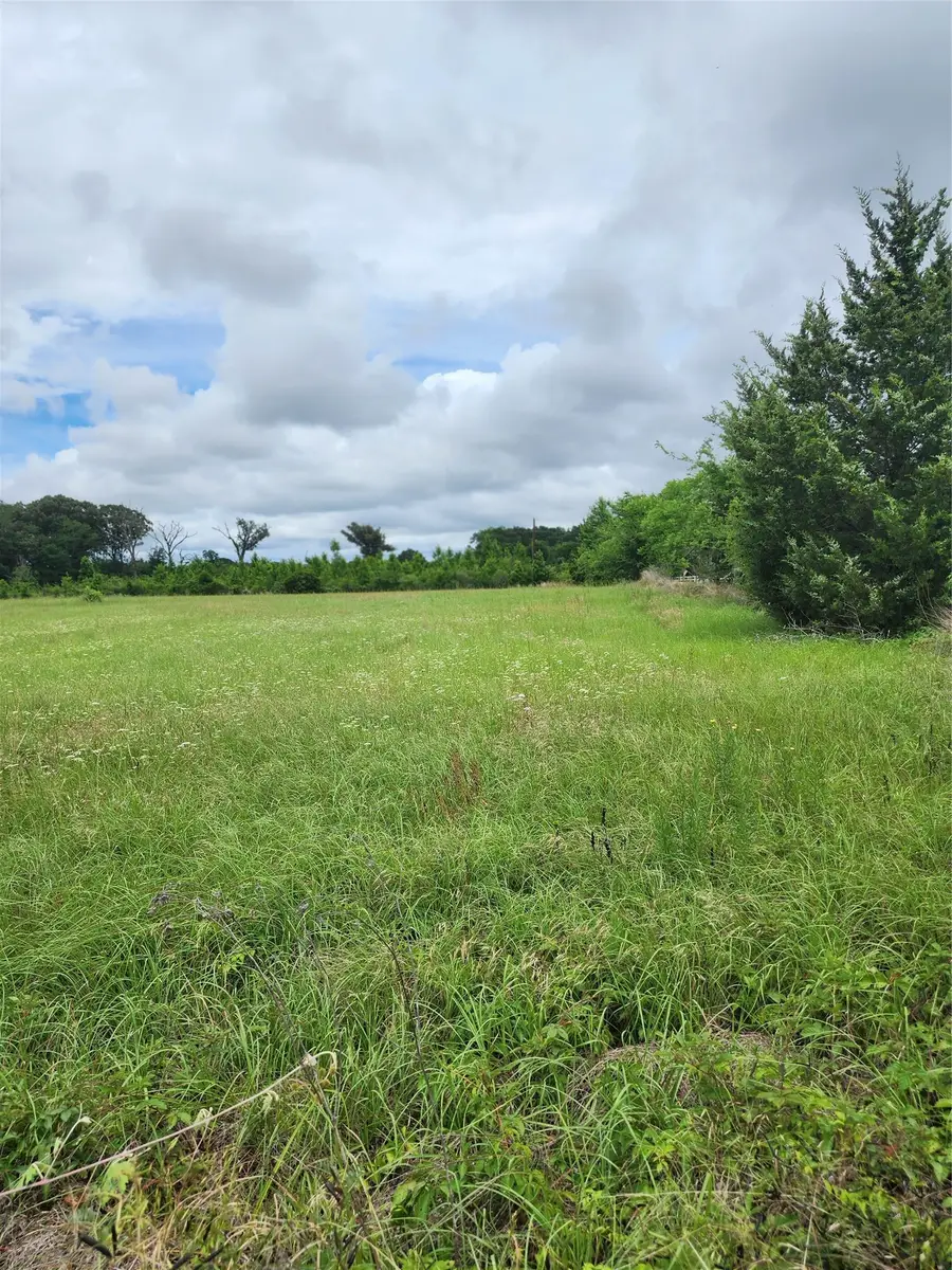 951 County Road 3800, Athens, TX 75752 - #2