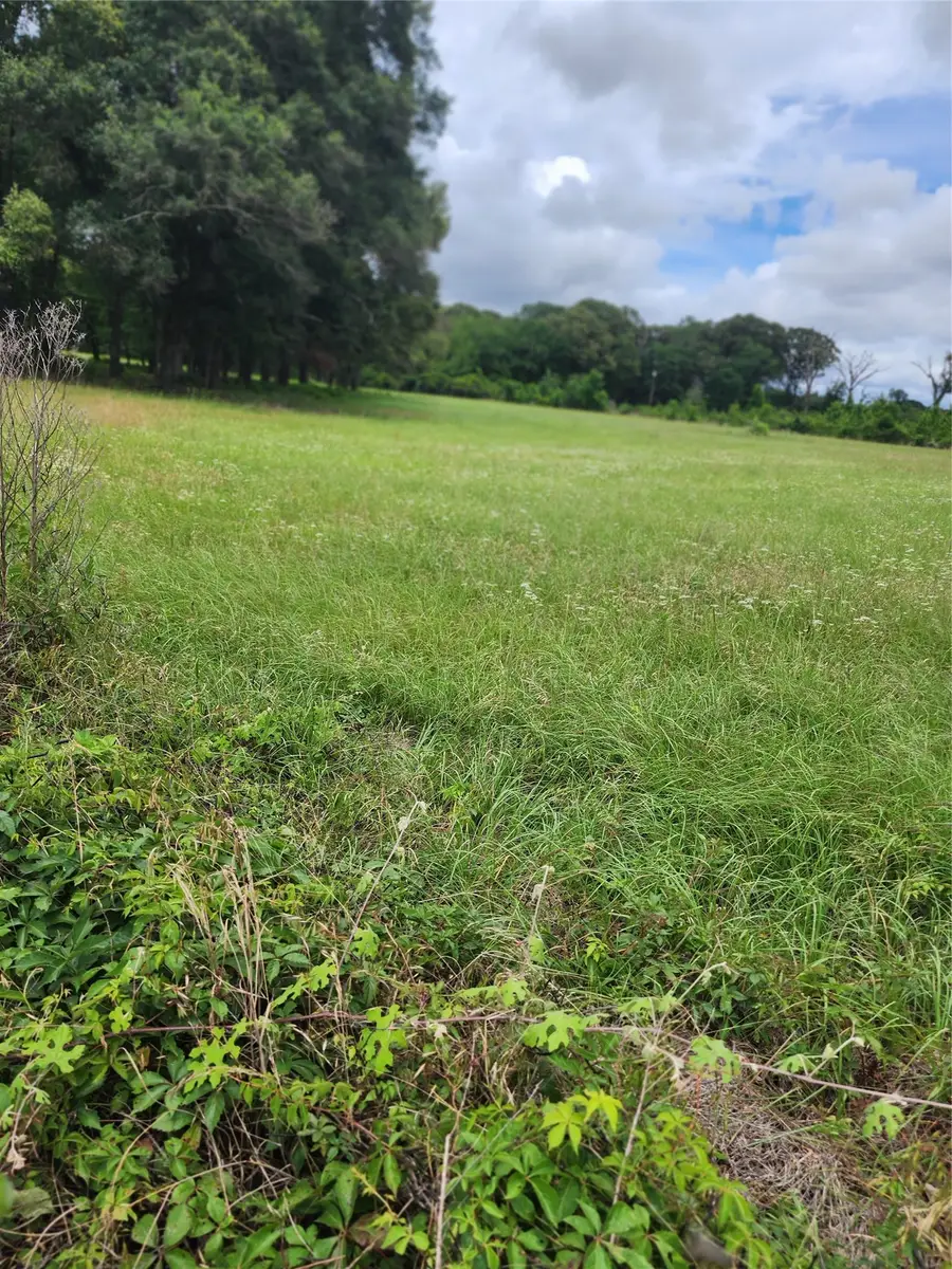 951 County Road 3800, Athens, TX 75752 - #3