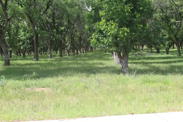 206 Poco Bueno Court, Granbury, TX 76049
