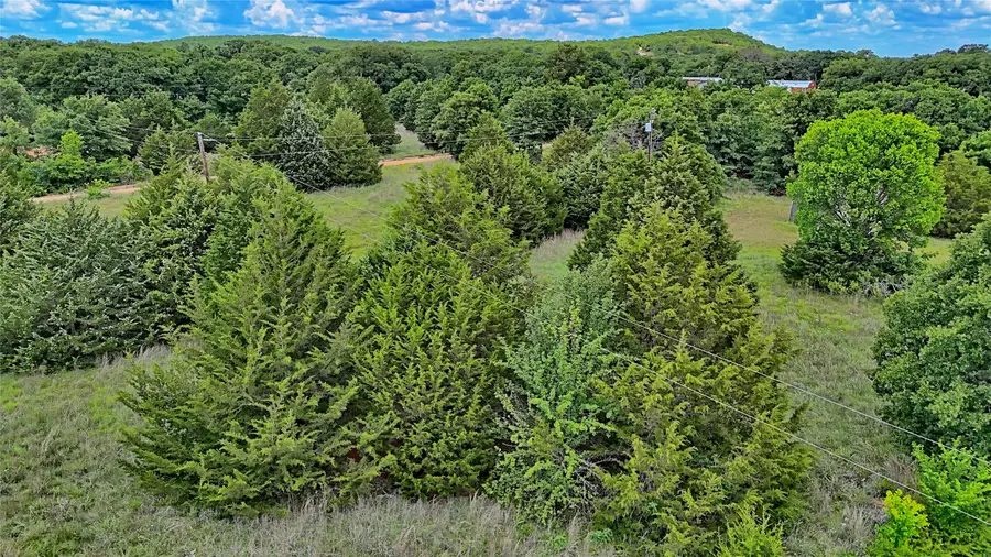 TBD Elm Street, Bowie, TX 76230 - #3