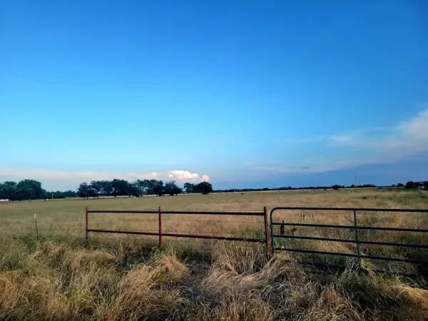 TBD County Road 4720, Wolfe City, TX 75496
