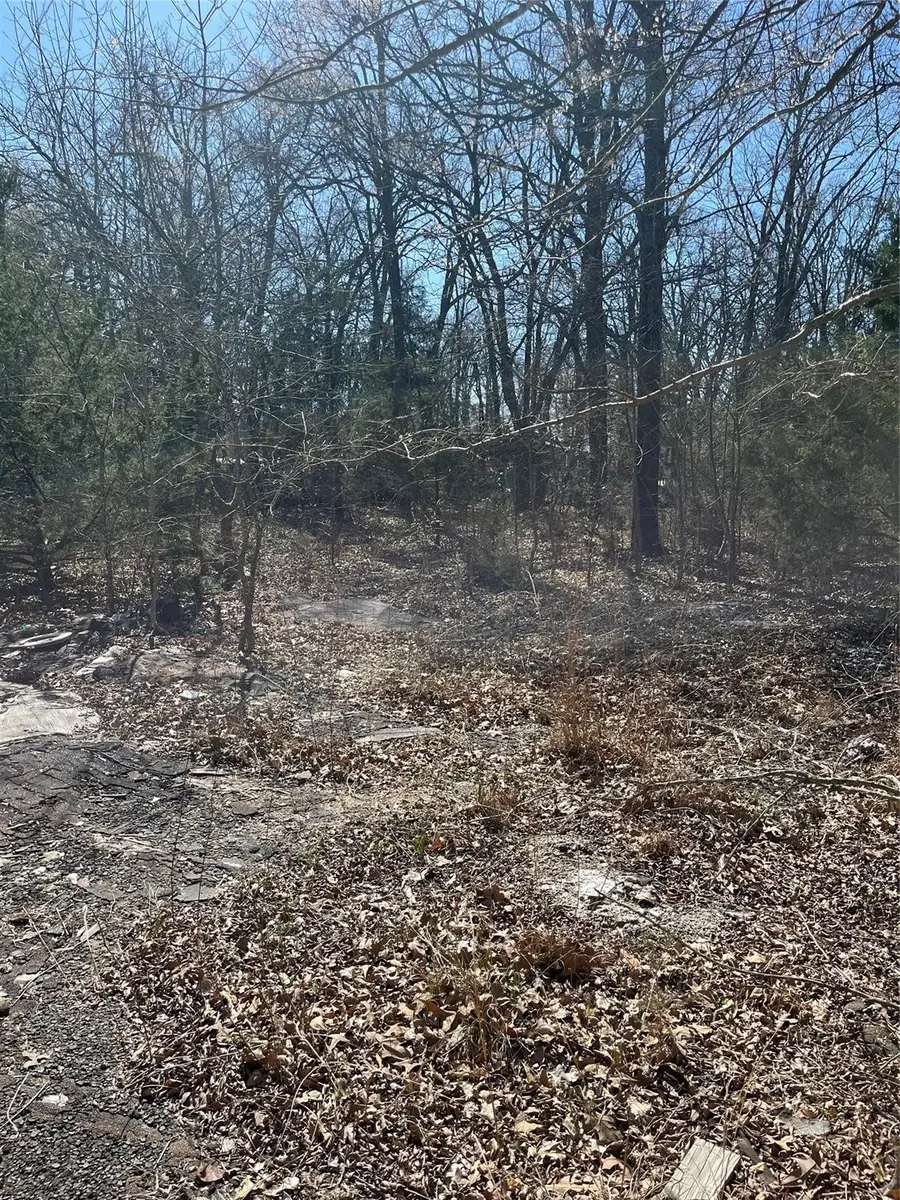 0 County Road 3605, Quinlan, TX 75474 - #3