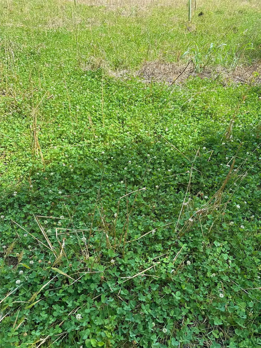 000 Bee Creek Road, Grandview, TX 76050 - #2