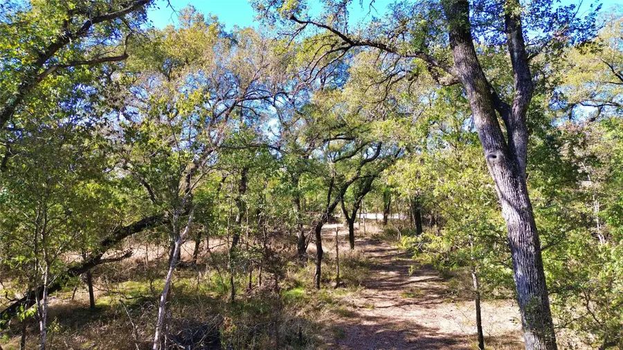 000 Bee Creek Road, Grandview, TX 76050 - #3