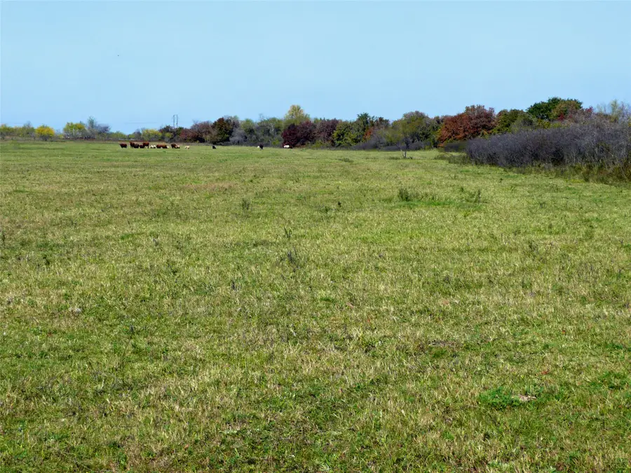 TBD County Road 300, Dublin, TX 76446 - #2