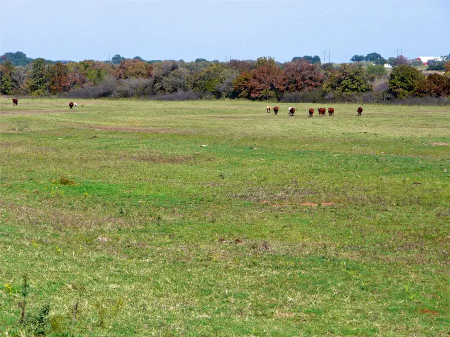TBD County Road 300, Dublin, TX 76446 - #3