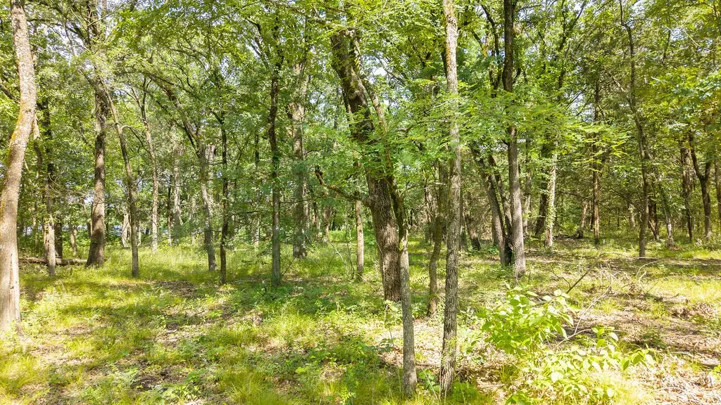 000 Pr 206, Bonham, TX 75418 - #1