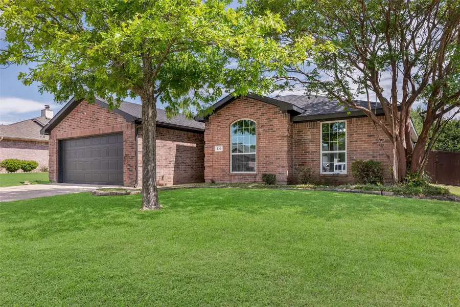 230 Lake Wichita Drive, Wylie, TX 75098 - #2