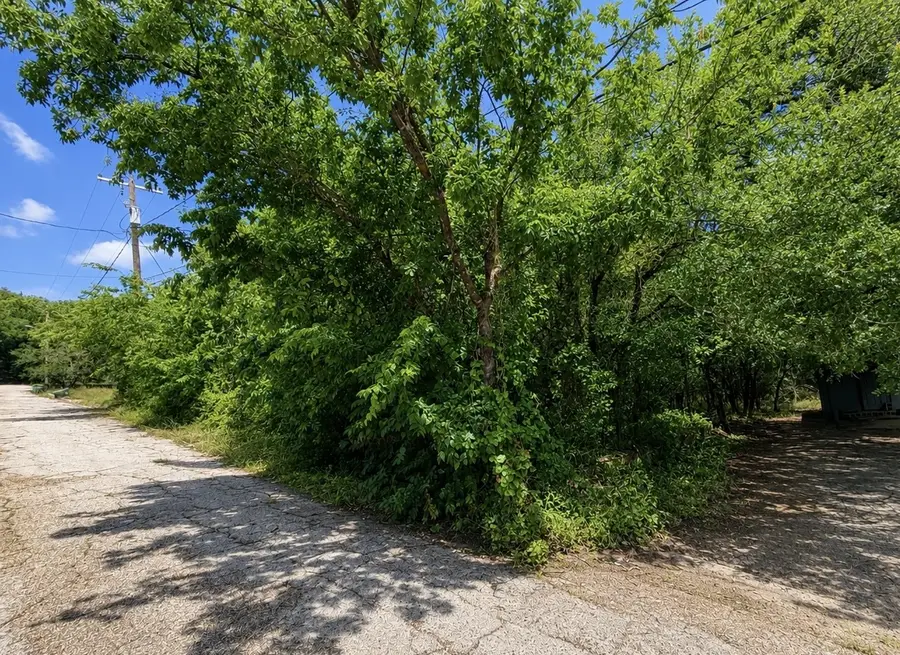 00 NW 10th St, Mineral Wells, TX 76067 - #3