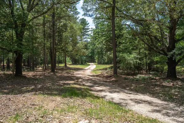 TBD Pvt. Rd 8079 Road, Ben Wheeler, TX 75754