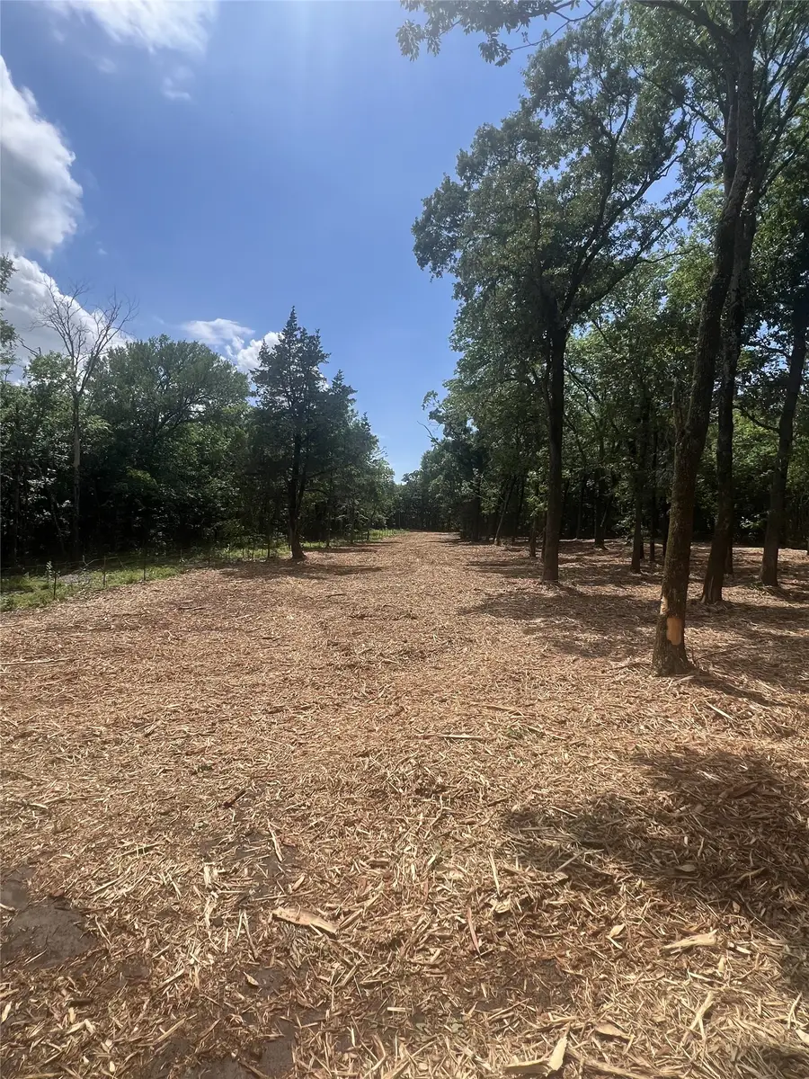 0 County Rd 2980, Windom, TX 75492 - #2
