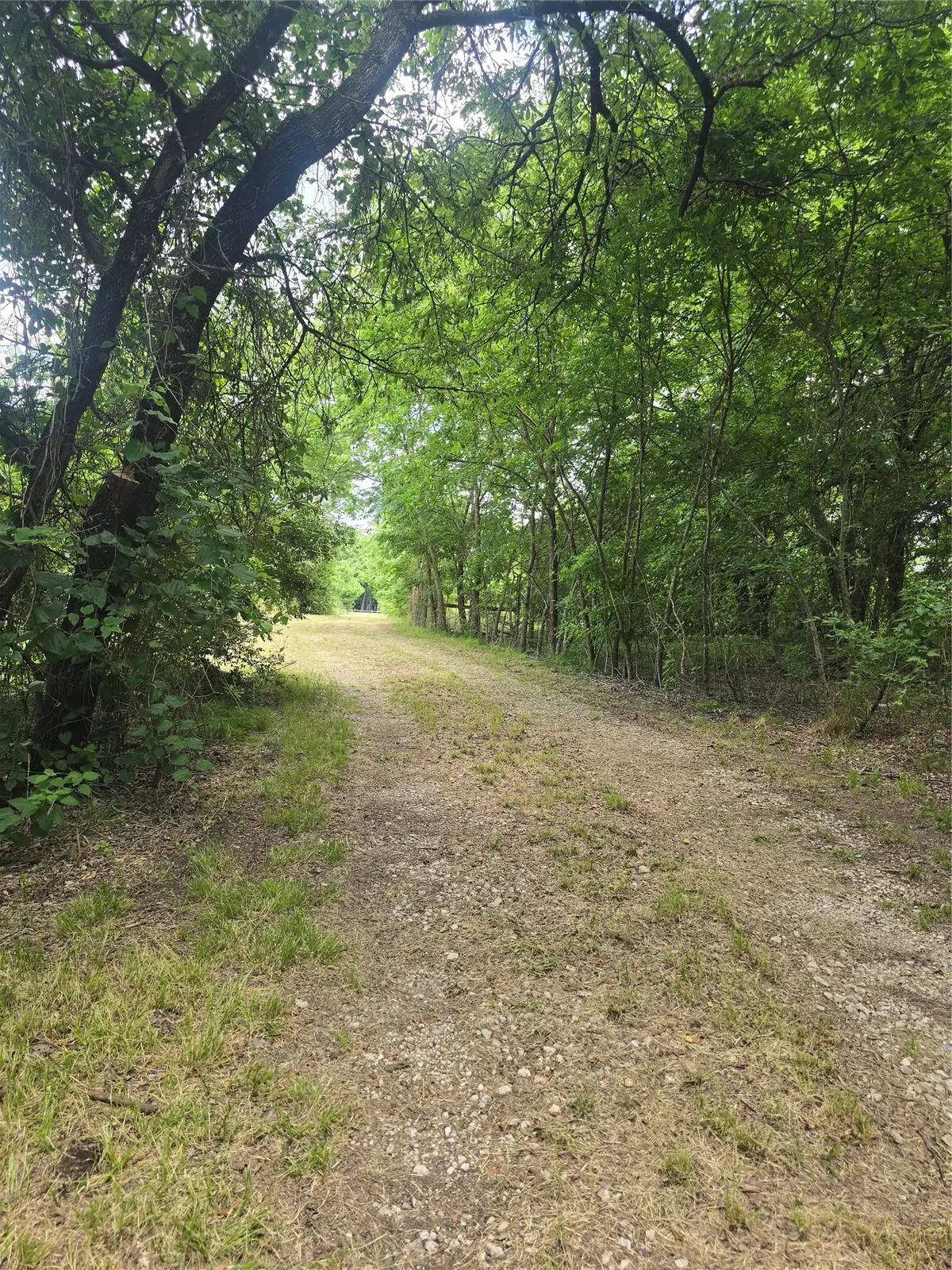 2225 County Road 700, Farmersville, TX 75442 - #1