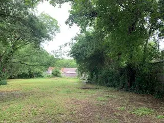 306 S Murray Street, McKinney, TX 75069 - #1
