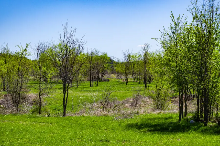 Lot 446 Indigo Bush, Possum Kingdom Lake, TX 76449 - #2