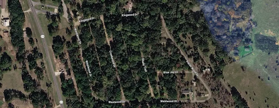 0 Shady Trail, Trinidad, TX 75163 - #3