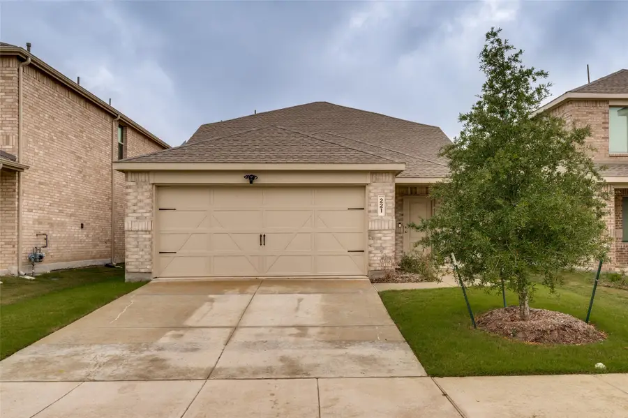 221 Ashbrook Street, Little Elm, TX 75068 - #2