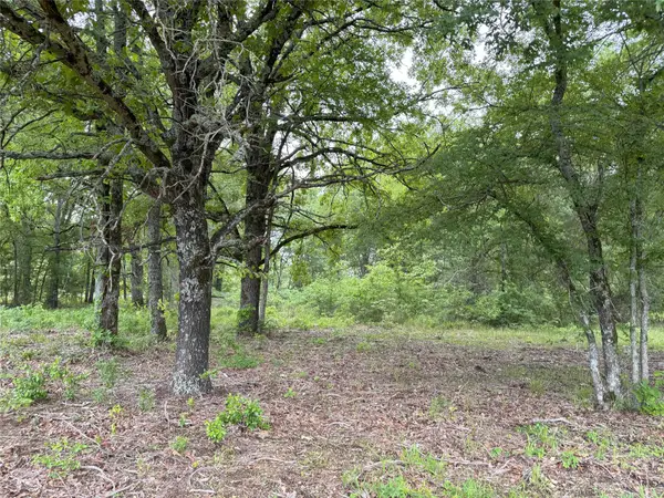 LOT 25 Rains County Road 2610, Alba, TX 75410