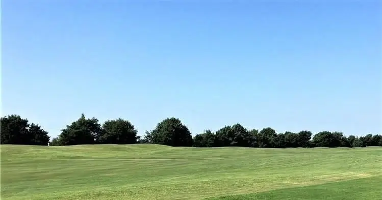 1380 Sagebrook, Fairview, TX 75069 - #2