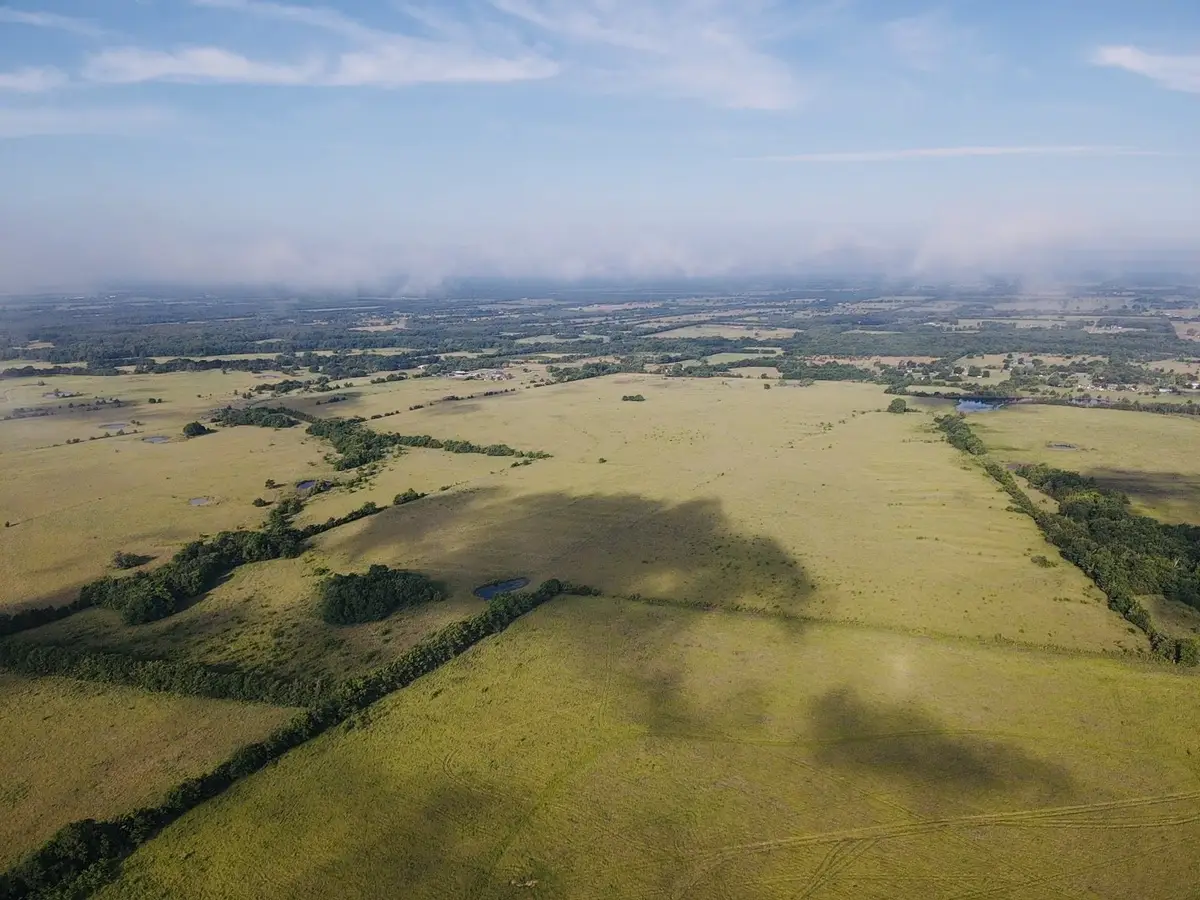 000 Fm 905, Paris, TX 75462 - #1