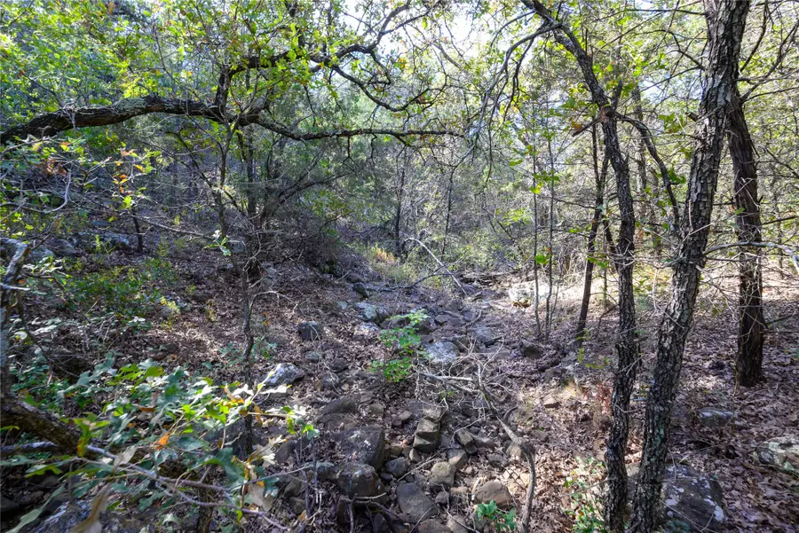 TBD Ward Mt, Santo, TX 76472 - #3