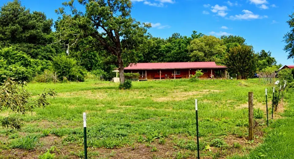 3169 Fm 556, Pittsburg, TX 75686 - #1