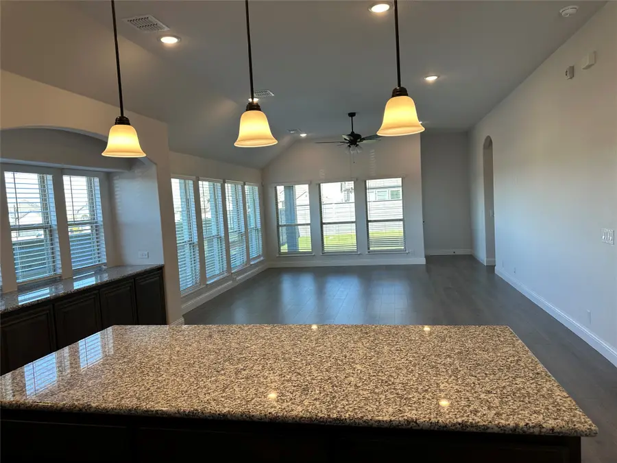 805 Twisted Leaf Lane, Aubrey, TX 76227 - #3