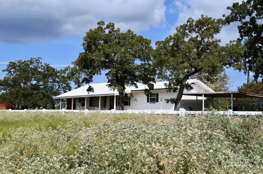 190 Private Road 408, Buffalo, TX 75831 - #3