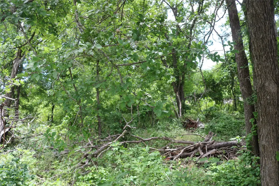 0 County Road 282, Dublin, TX 76446 - #2