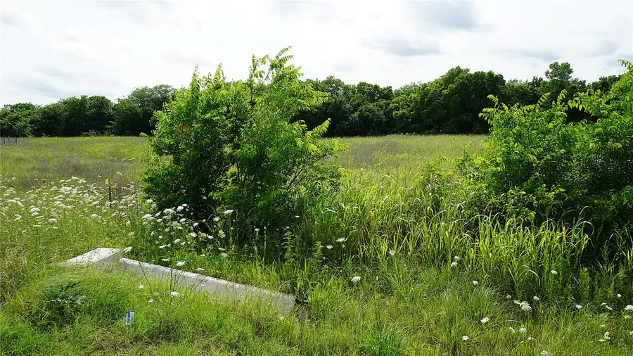 10468 State Highway 50, Ladonia, TX 75449 - #2