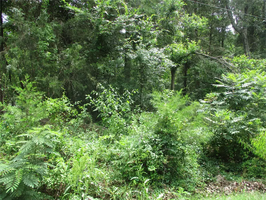 TBD Robinson Street, Emory, TX 75440 - #2