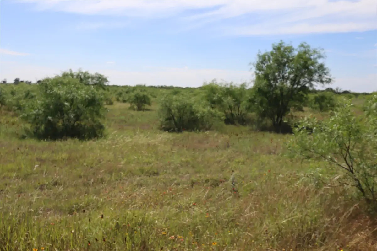 807 County Road 215, Rising Star, TX 76471 - #1