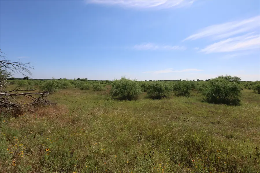 807 County Road 215, Rising Star, TX 76471 - #2