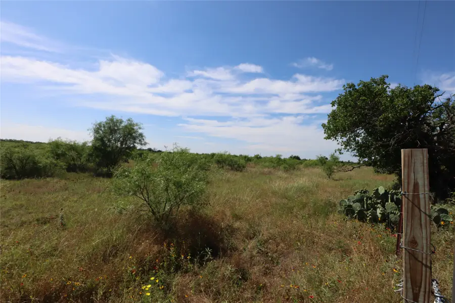 807 County Road 215, Rising Star, TX 76471 - #3