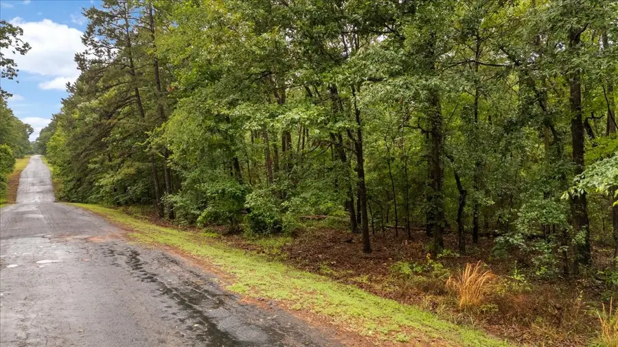 Lot 236 Canadian Drive, Scroggins, TX 75480 - #3