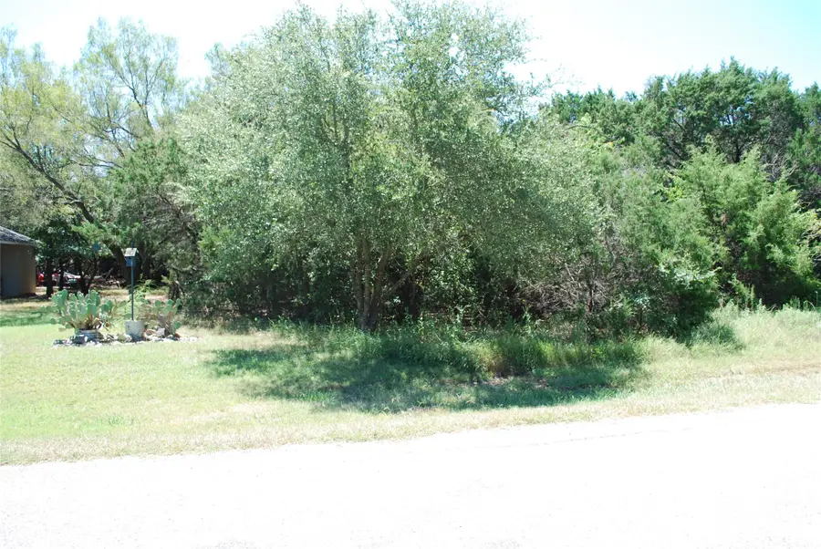 44155 Whisperwood Drive, Whitney, TX 76692 - #2