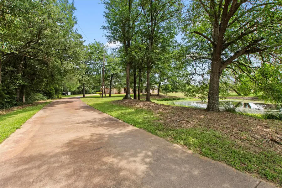 10226 Aaron Avenue, Eustace, TX 75124 - #3