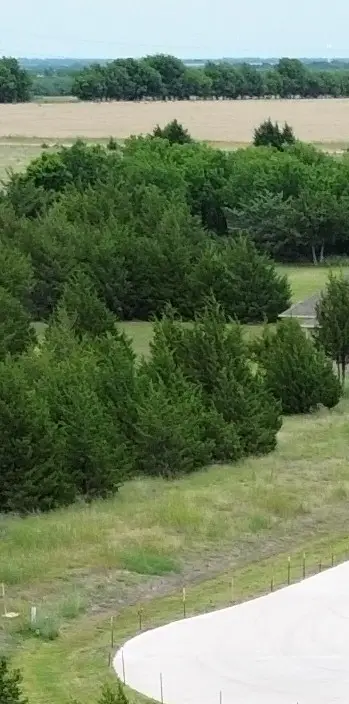 tbv Evergreen Way Way, Nevada, TX 75173