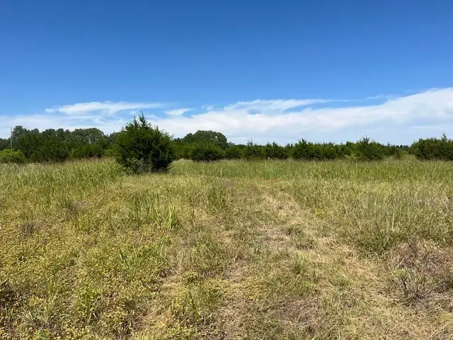 707 County Road 426, Purmela, TX 76566 - #2