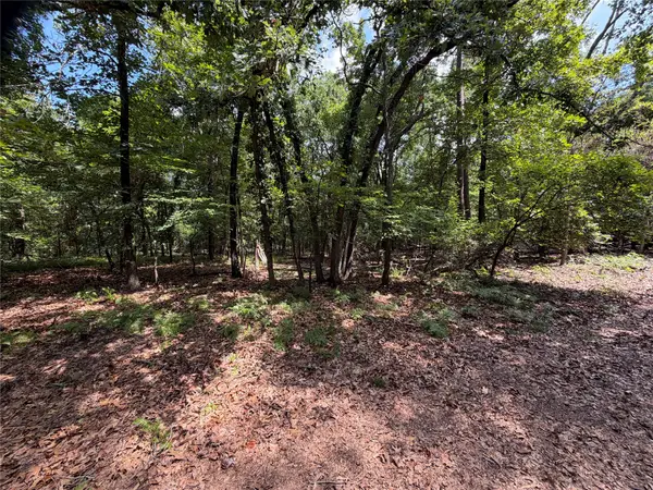 Lot 29 & 30 King Arthur Court, Scroggins, TX 75480