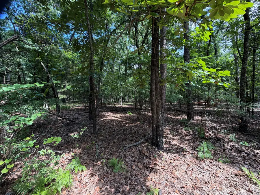 Lot 29 & 30 King Arthur Court, Scroggins, TX 75480 - #2