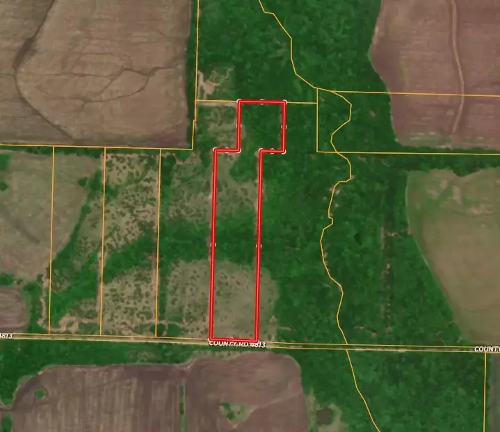 6540 County Road 4813, Commerce, TX 75449 - #2