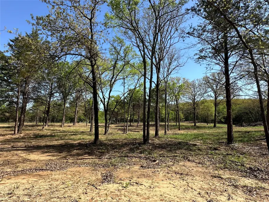 TBD Lot 4 Cr-194, Gainesville, TX 76240 - #3