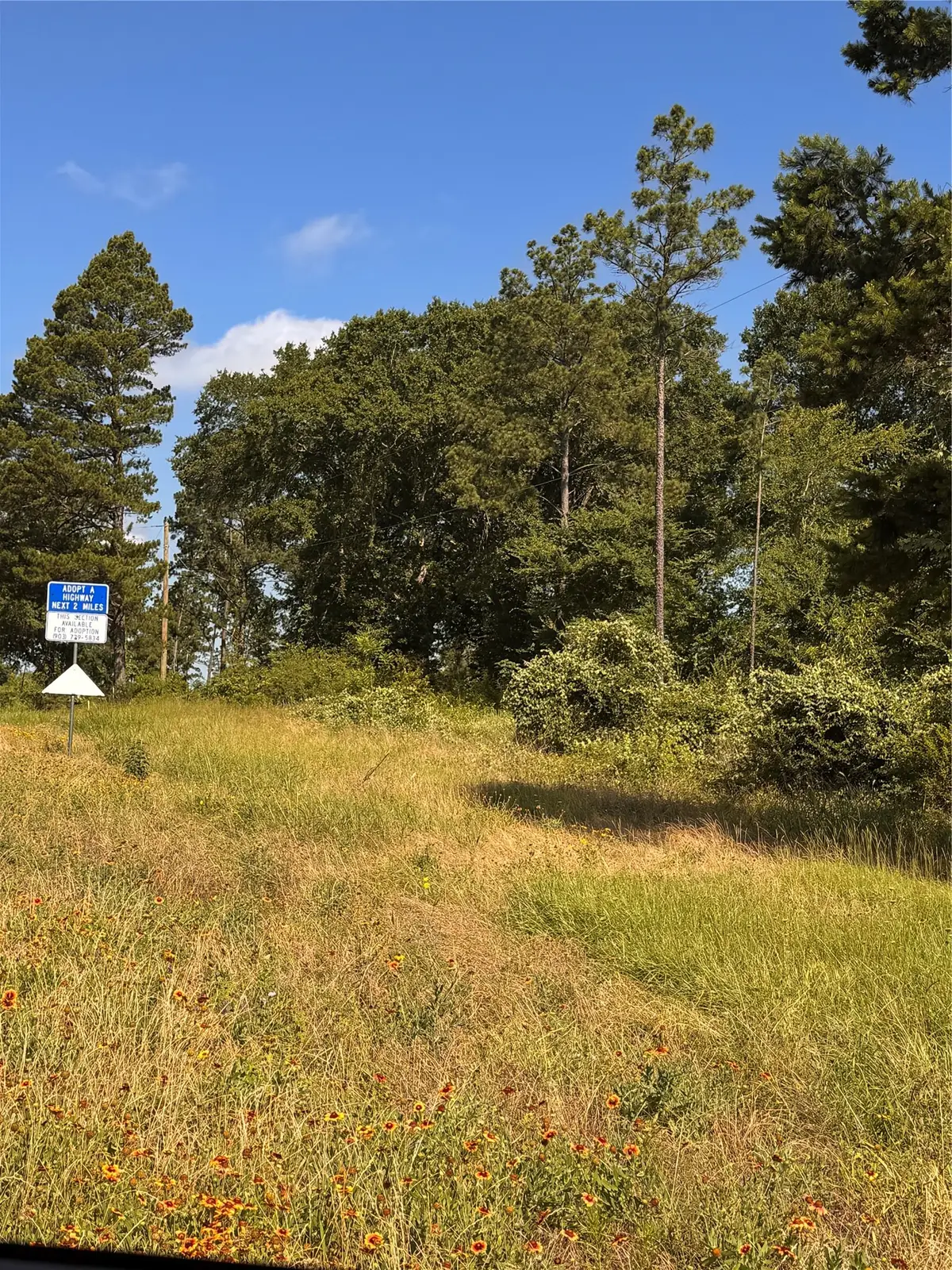 0000 W State Highway 294, Elkhart, TX 75839 - #1