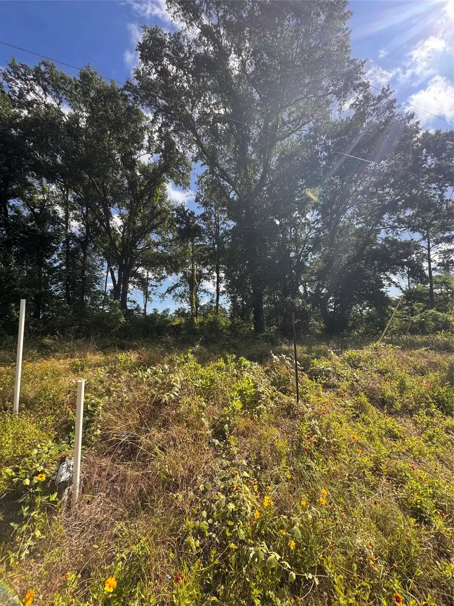 0000 W State Highway 294, Elkhart, TX 75839 - #3