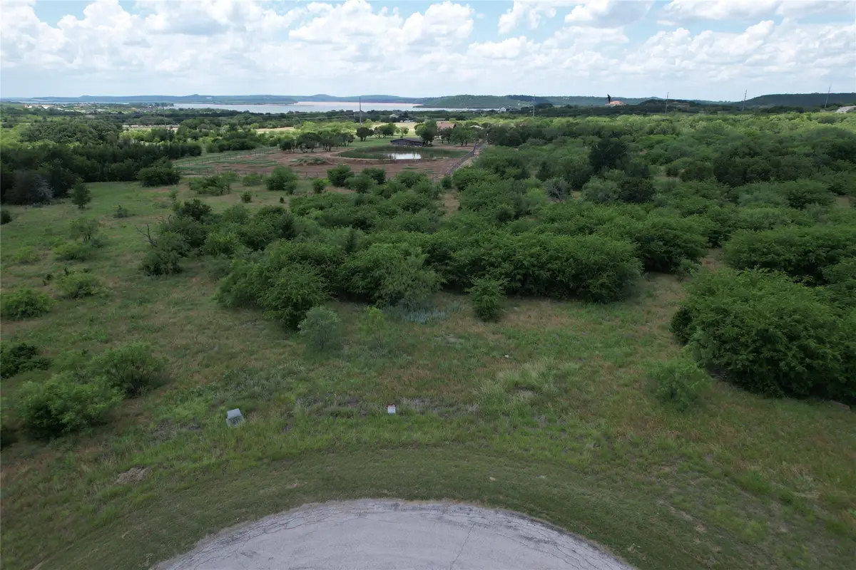 1393 Indigo Bush Court, Possum Kingdom Lake, TX 76449 - #1