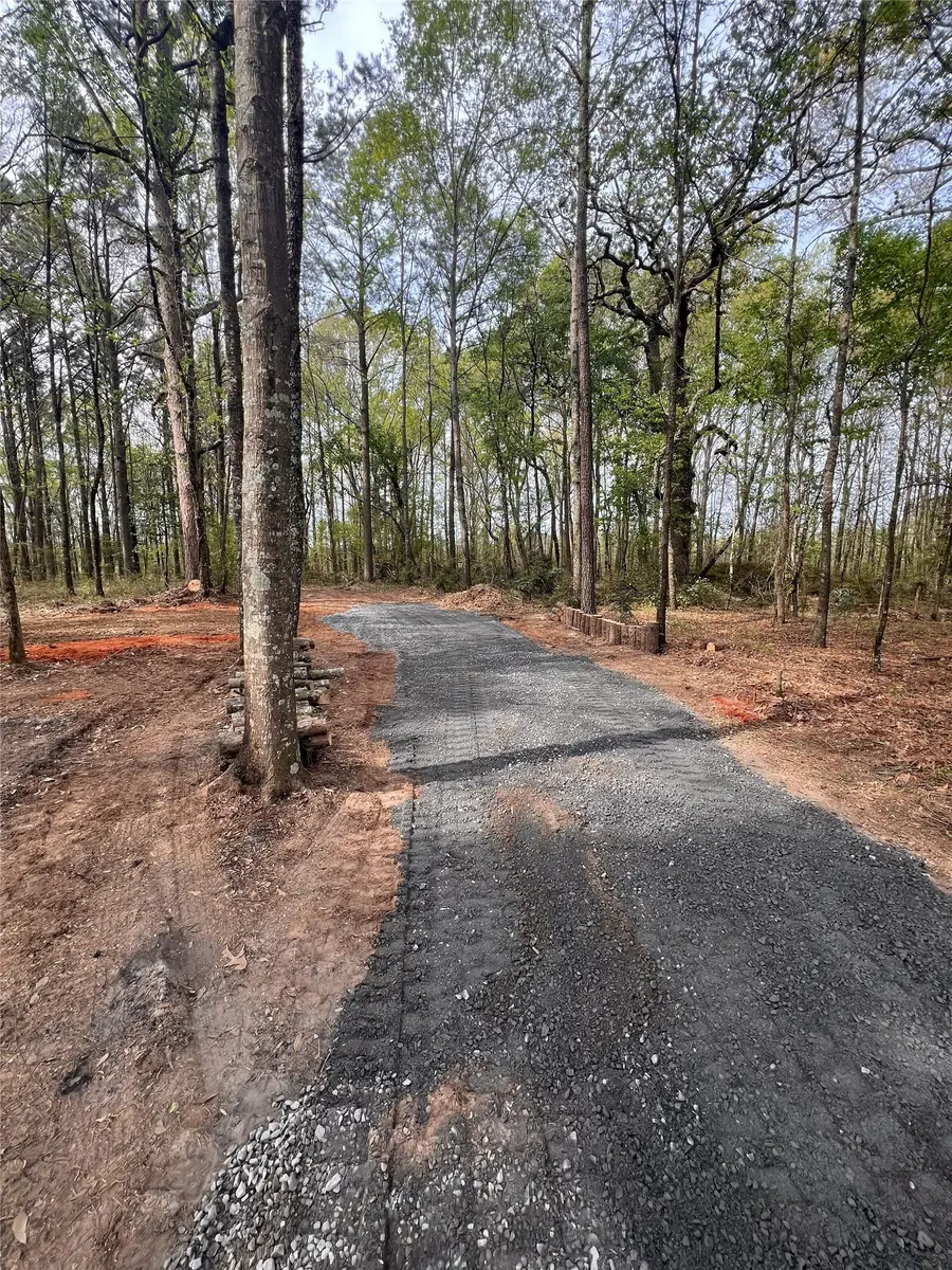 26819 Hwy 157, Shongaloo, LA 71072 - #2