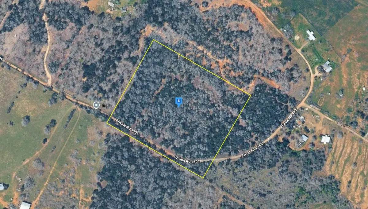 250 Private Rd 4601, Waelder, TX 78959 - #1