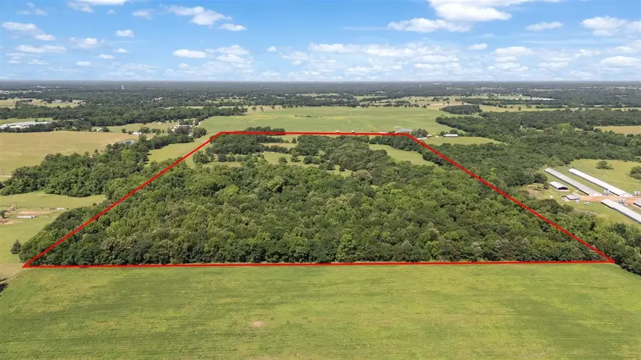 TBD County Road 2395, Winnsboro, TX 75494 - #2